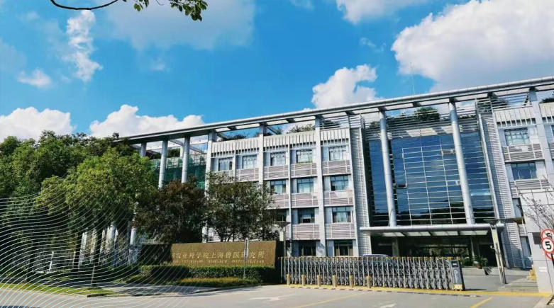 上海1.jpg