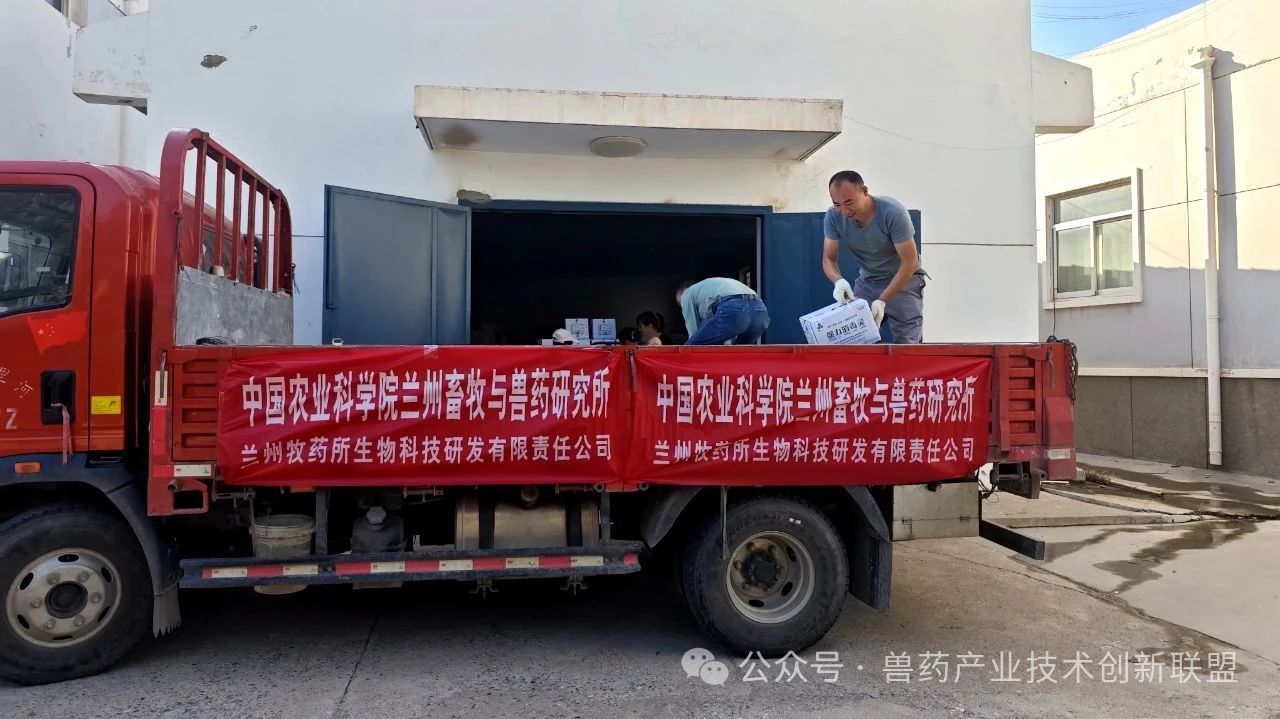 微信图片_2025-08-18_033201_127.jpg