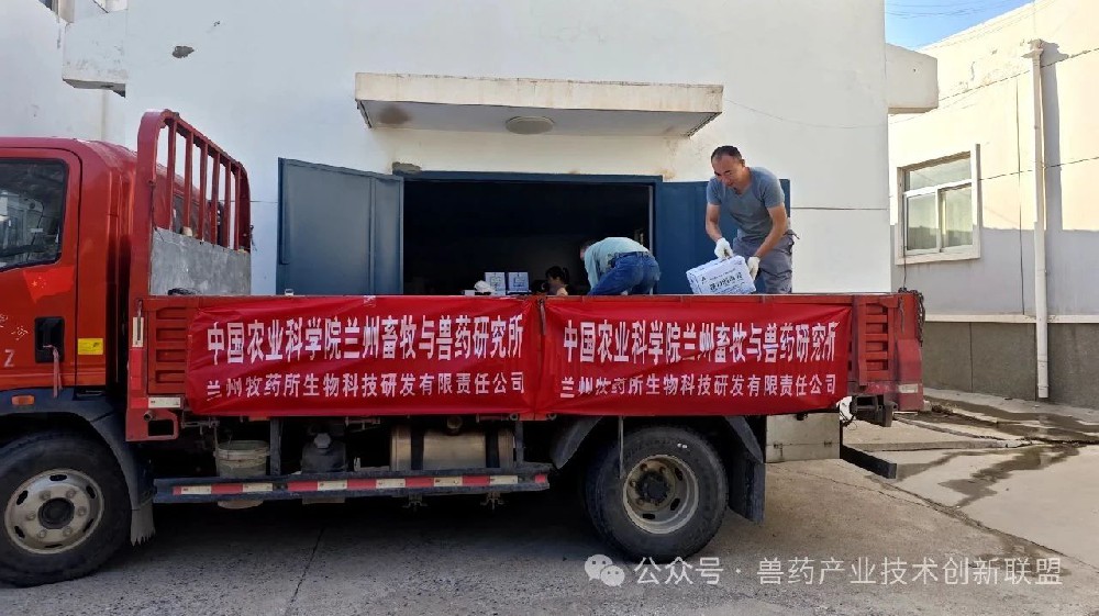 【盟员动态】中国农业科学院兰州畜牧与兽药研究所助力榆中洪灾灾区防疫与养殖恢复