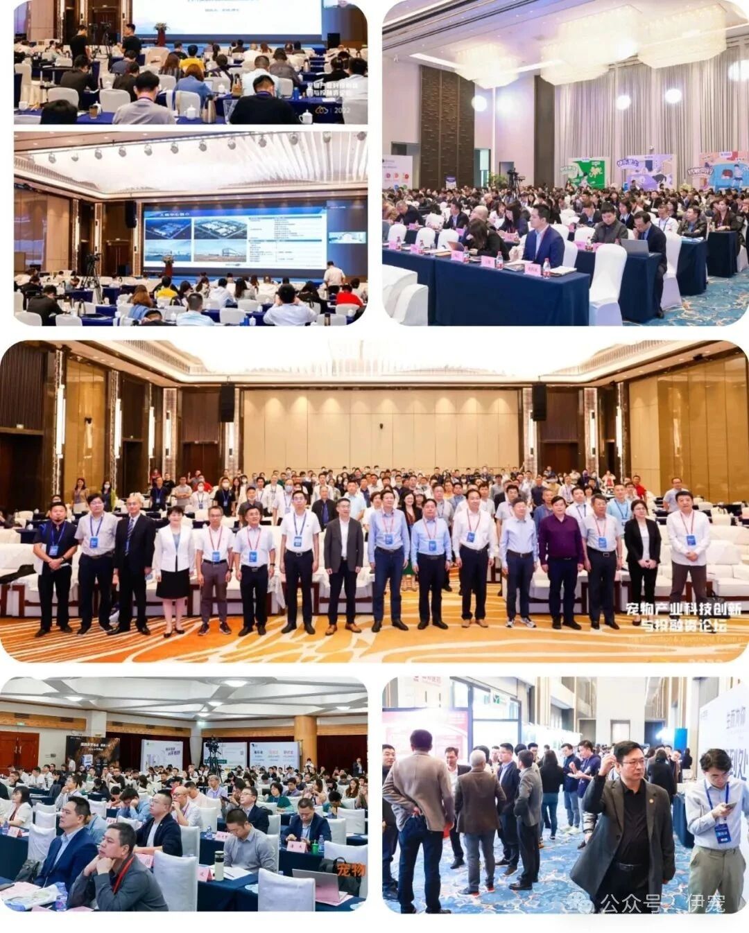 宠业科创投08.jpg