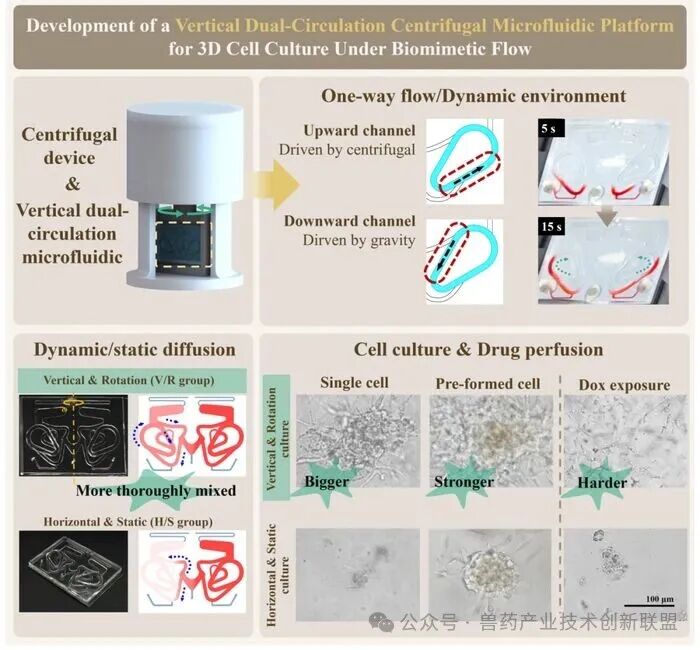【盟员动态】突破性进展！国药动保类器官芯片开发又有新成果